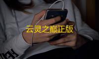 云灵之巅正版