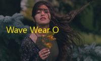 Wave Wear OS表盘